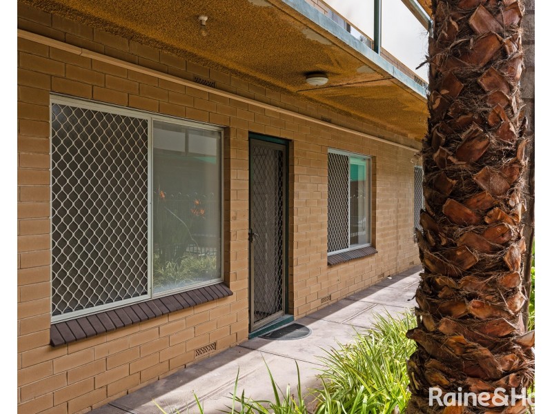 13/127-129 Anzac Highway, Kurralta Park SA 5037