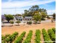 1-3 Smith Street, Cadell SA 5321