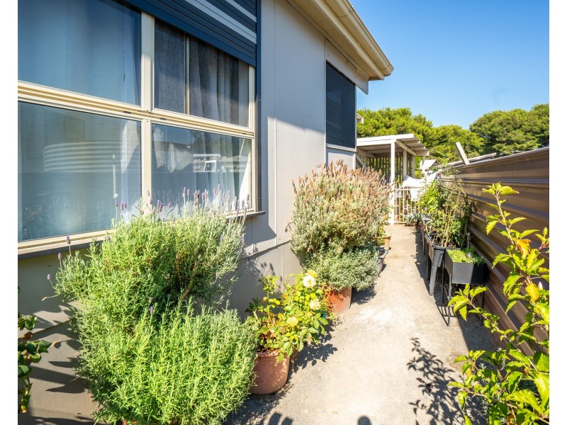 Cabin 39/4 Madsen Street, Hindmarsh Island SA 5214