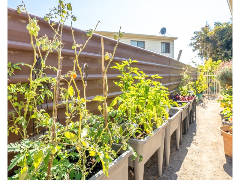 Cabin 39/4 Madsen Street, Hindmarsh Island SA 5214