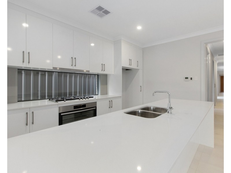 13 Bourlang Avenue, Camden Park SA 5038