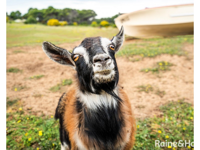 N4/4 Madsen Street, Hindmarsh Island SA 5214