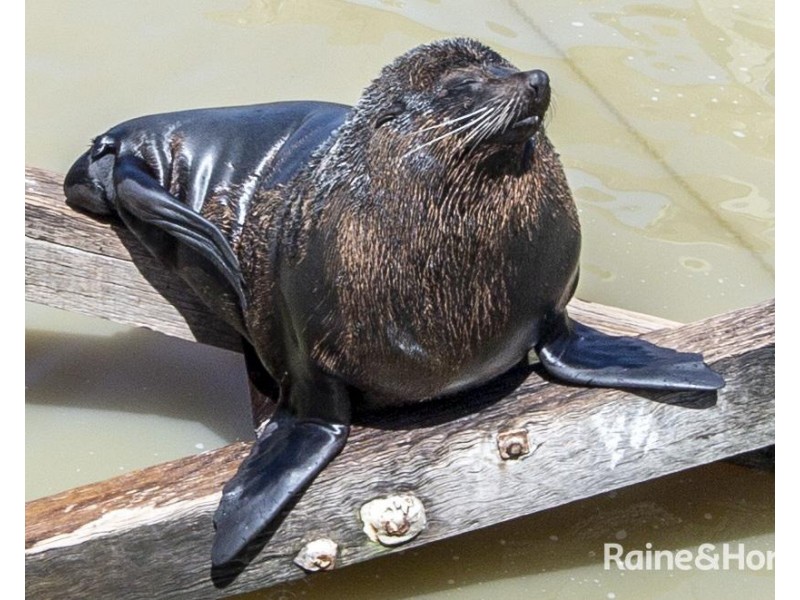 N4/4 Madsen Street, Hindmarsh Island SA 5214