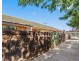 1/20 Tennyson Street, Kurralta Park SA 5037