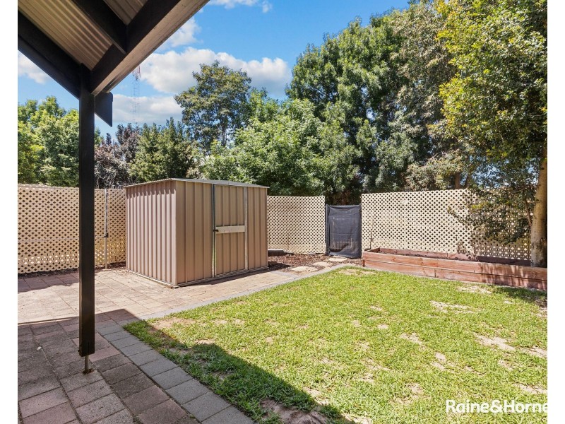 14 Frederick Street, Richmond SA 5033