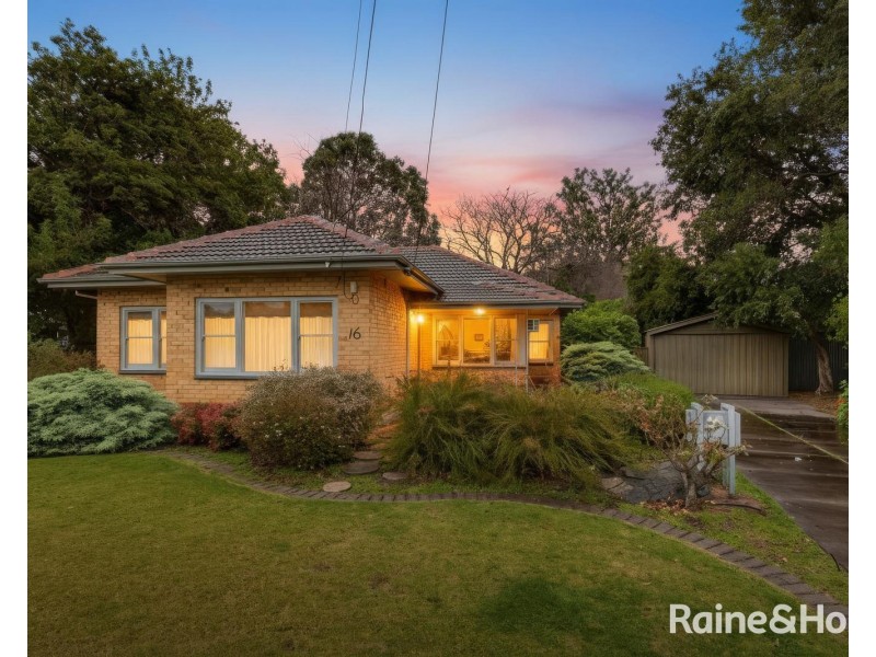 16 Pape Crescent, Netley SA 5037