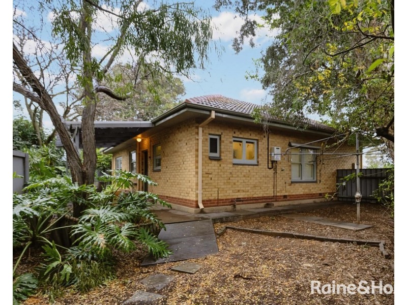16 Pape Crescent, Netley SA 5037