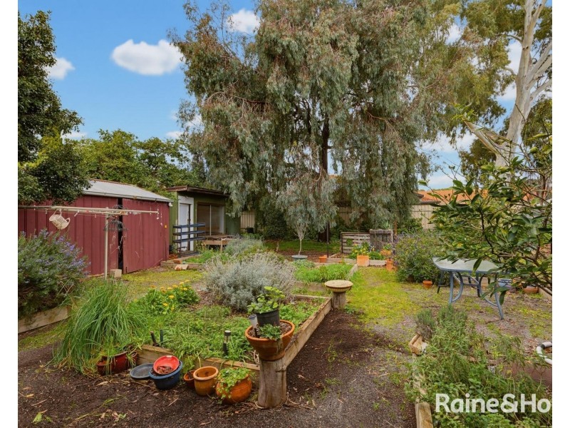 12 Day Avenue, Daw Park SA 5041