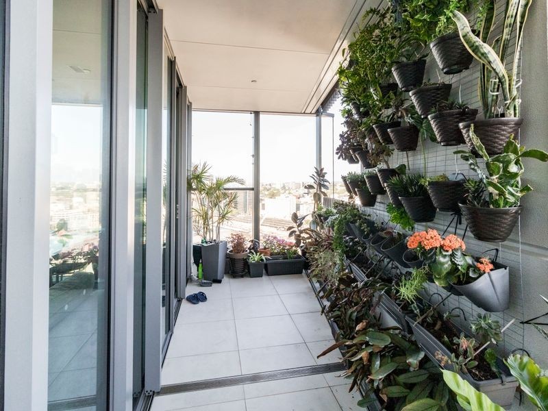 18 Park Lane, Chippendale NSW 2008