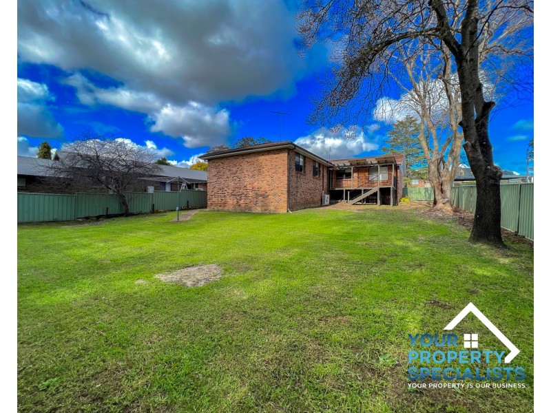 16 Griffiths Avenue, Camden South NSW 2570