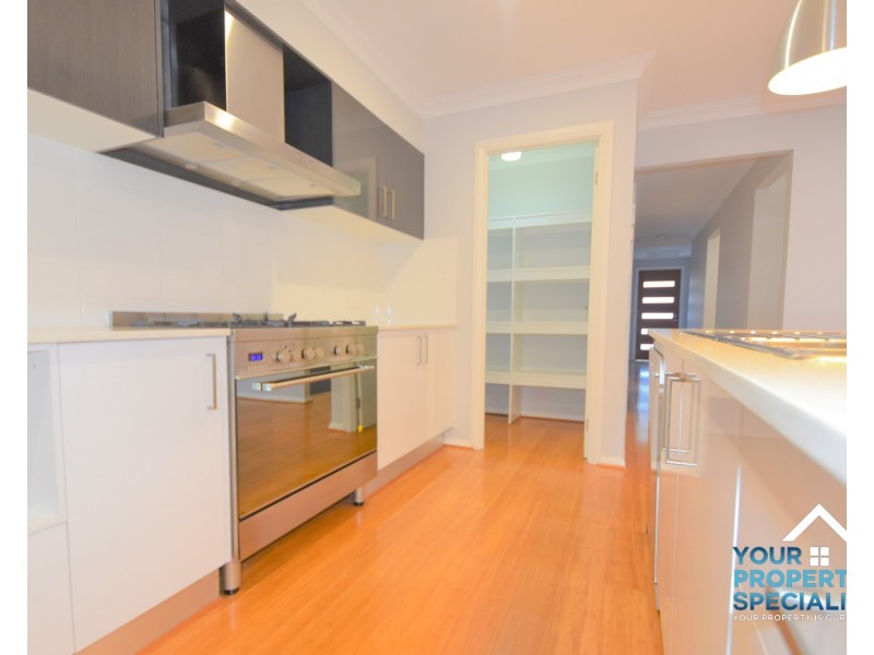 49 Easton Avenue, Spring Farm NSW 2570