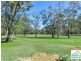 341 Catherine Fields Road, Catherine Field NSW 2557