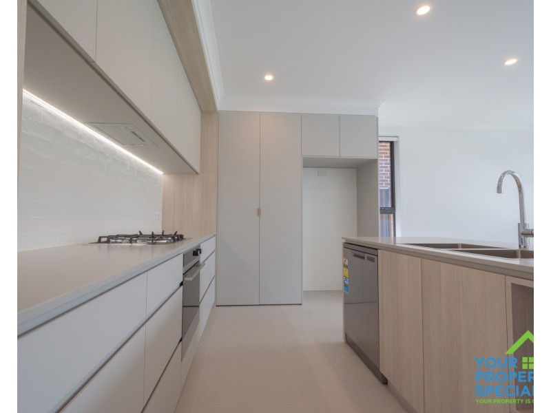 163 Passiflora Avenue, Denham Court NSW 2565