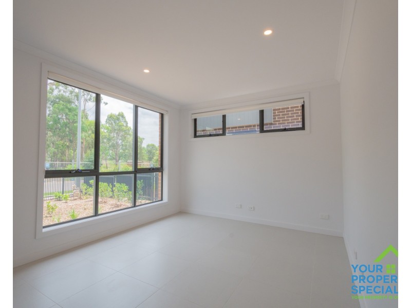 163 Passiflora Avenue, Denham Court NSW 2565