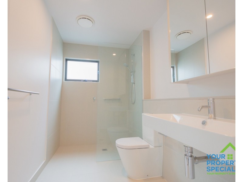 163 Passiflora Avenue, Denham Court NSW 2565