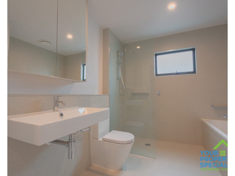 163 Passiflora Avenue, Denham Court NSW 2565