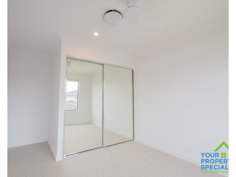 163 Passiflora Avenue, Denham Court NSW 2565