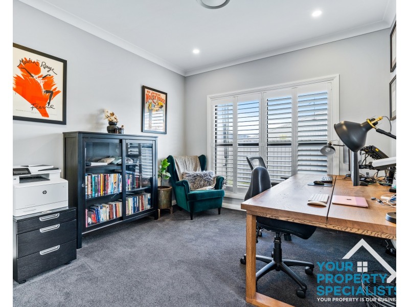 17 Newmarket Street, Currans Hill NSW 2567