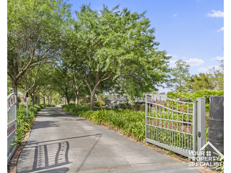 3 Clintara Crescent, Razorback NSW 2571