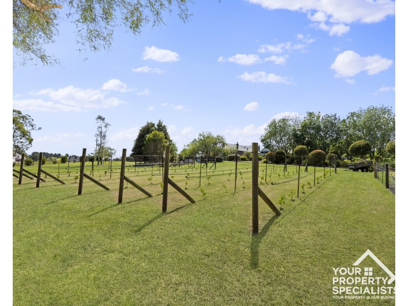 3 Clintara Crescent, Razorback NSW 2571