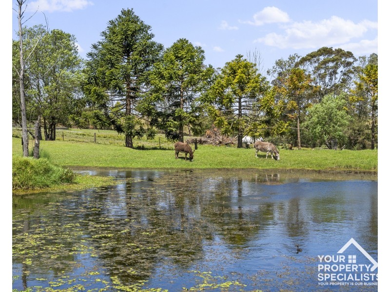 3 Clintara Crescent, Razorback NSW 2571