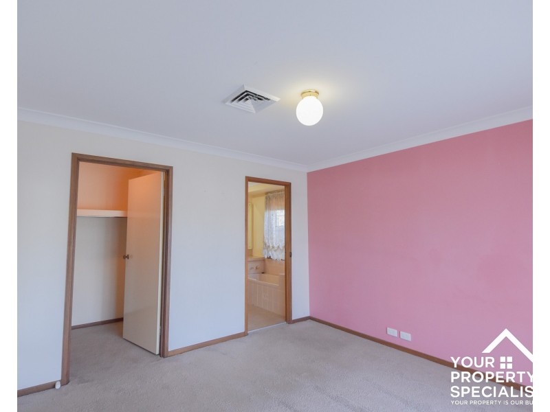 49 Ohlfsen Road, Minto NSW 2566
