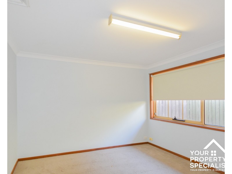 49 Ohlfsen Road, Minto NSW 2566