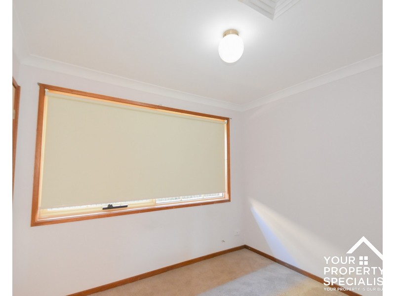 49 Ohlfsen Road, Minto NSW 2566