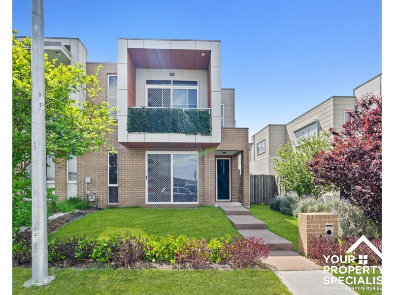 142 Liz Kernohan Drive, Elderslie NSW 2570