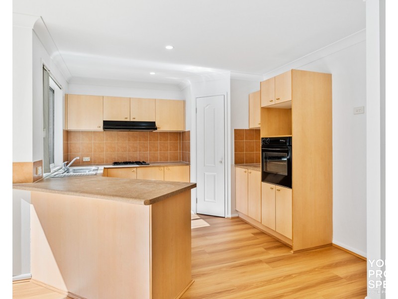 58 Spring Hill Circle, Currans Hill NSW 2567