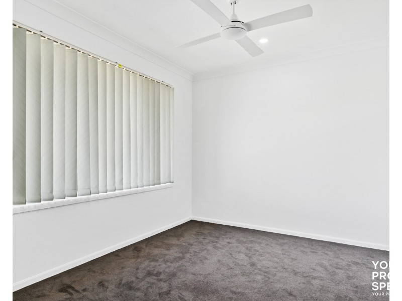58 Spring Hill Circle, Currans Hill NSW 2567
