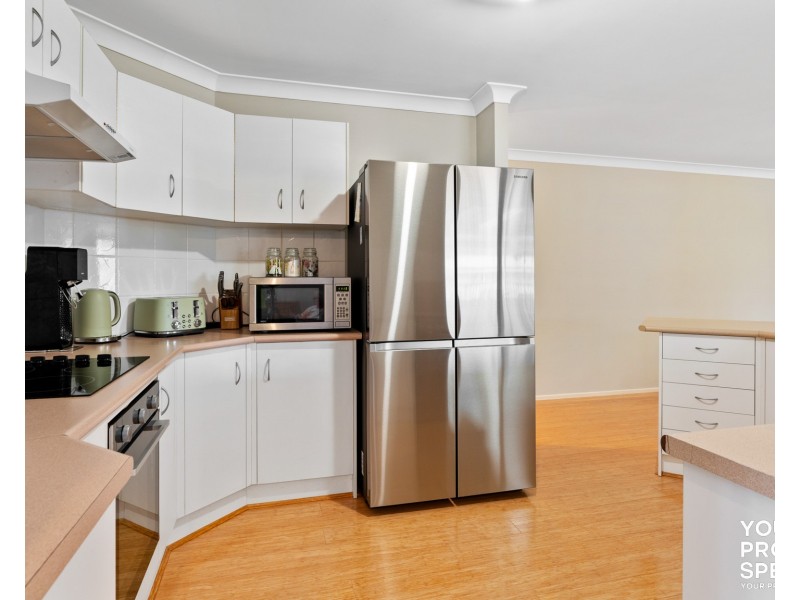 38 Montgomery Circuit, Narellan Vale NSW 2567