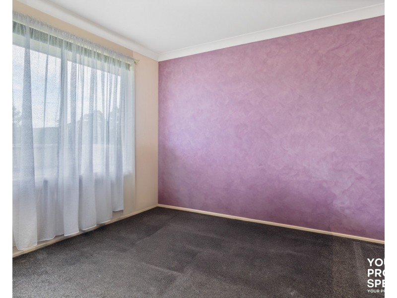 38 Montgomery Circuit, Narellan Vale NSW 2567