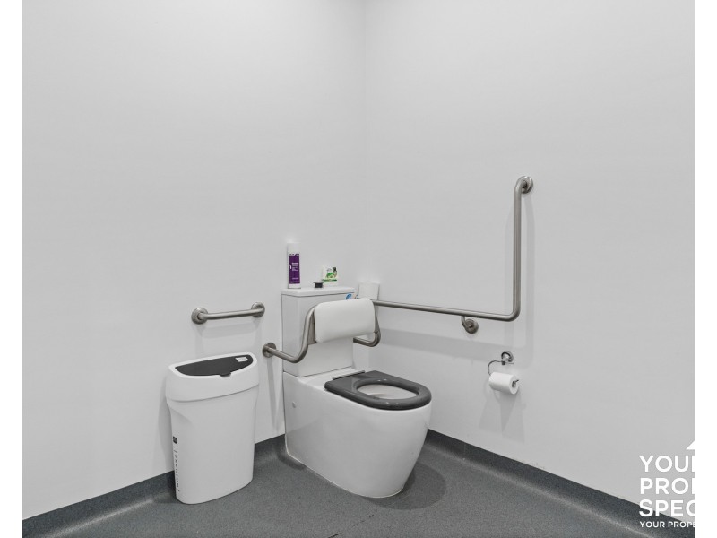 25 Iolanthe Street, Campbelltown NSW 2560