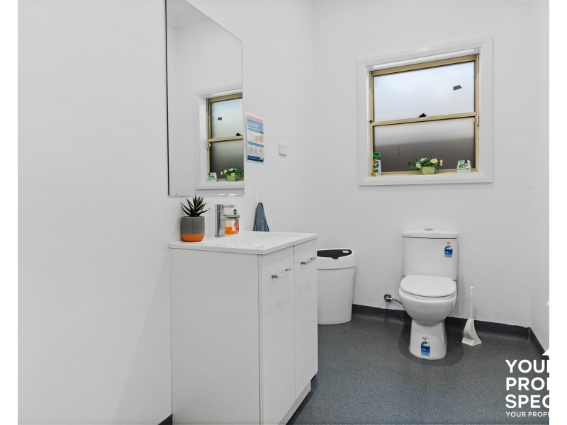 25 Iolanthe Street, Campbelltown NSW 2560