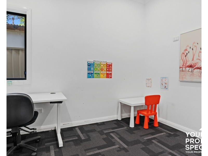 25 Iolanthe Street, Campbelltown NSW 2560