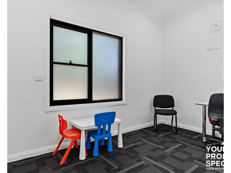 25 Iolanthe Street, Campbelltown NSW 2560