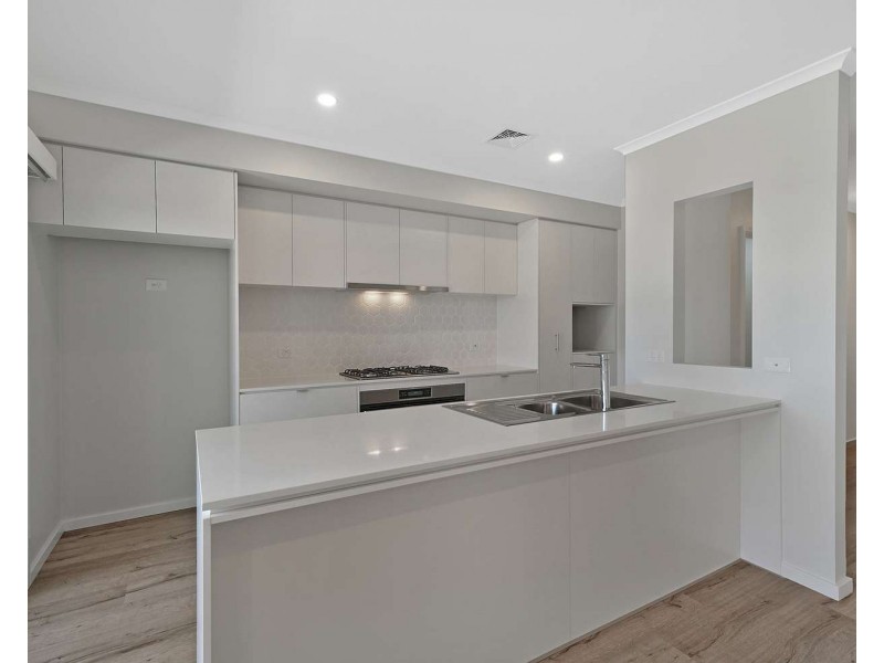 17 Orchard Avenue, Cobbitty NSW 2570