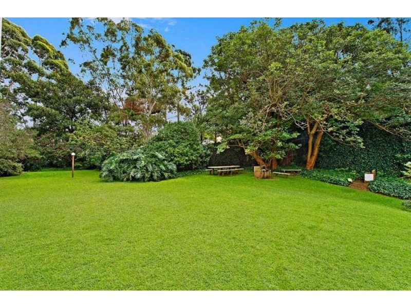 114/244 Alison Rd, Randwick NSW 2031