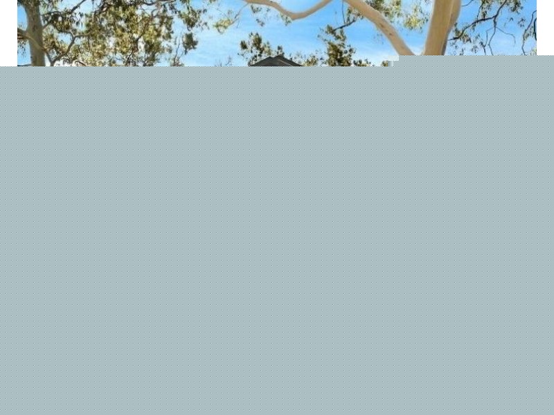 1/460 New South Head Road, Double Bay NSW 2028