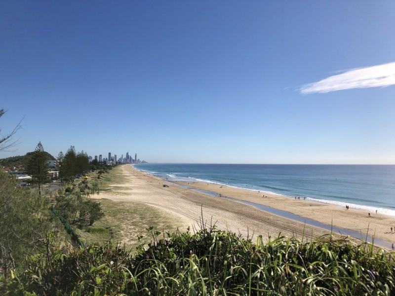 9 Coachwood Court, Burleigh Waters QLD 4220