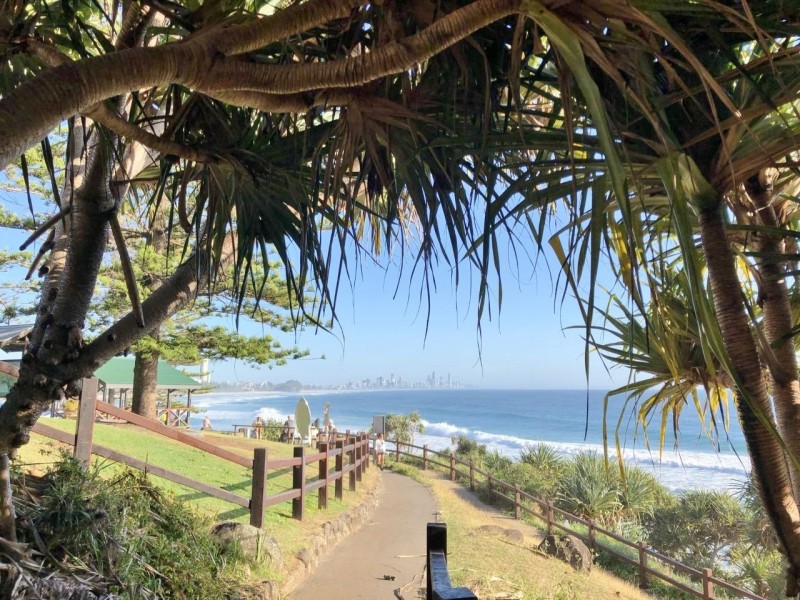 9 Coachwood Court, Burleigh Waters QLD 4220