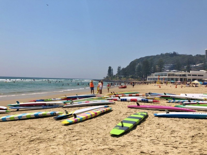 9 Coachwood Court, Burleigh Waters QLD 4220