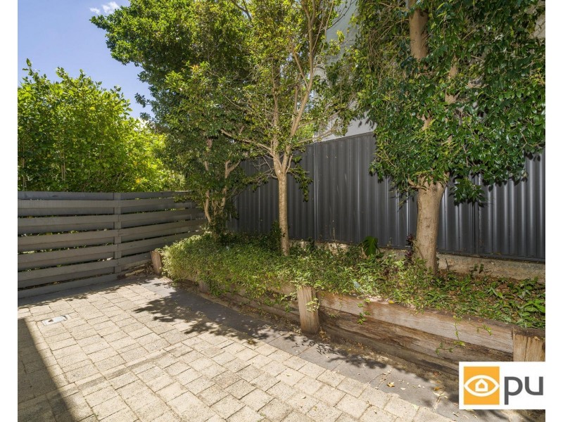 6/237 Cambridge Street, Wembley WA 6014