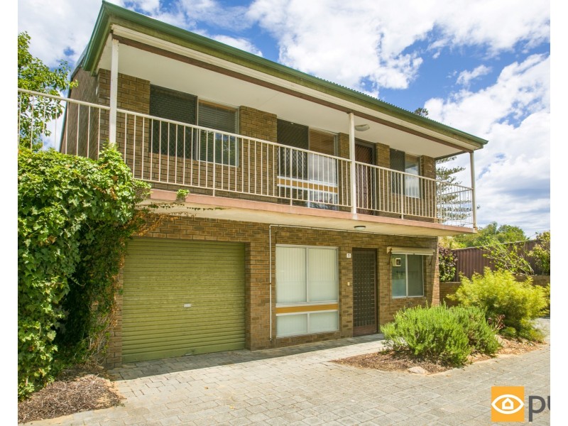 1/1B McNeil Street, Peppermint Grove WA 6011