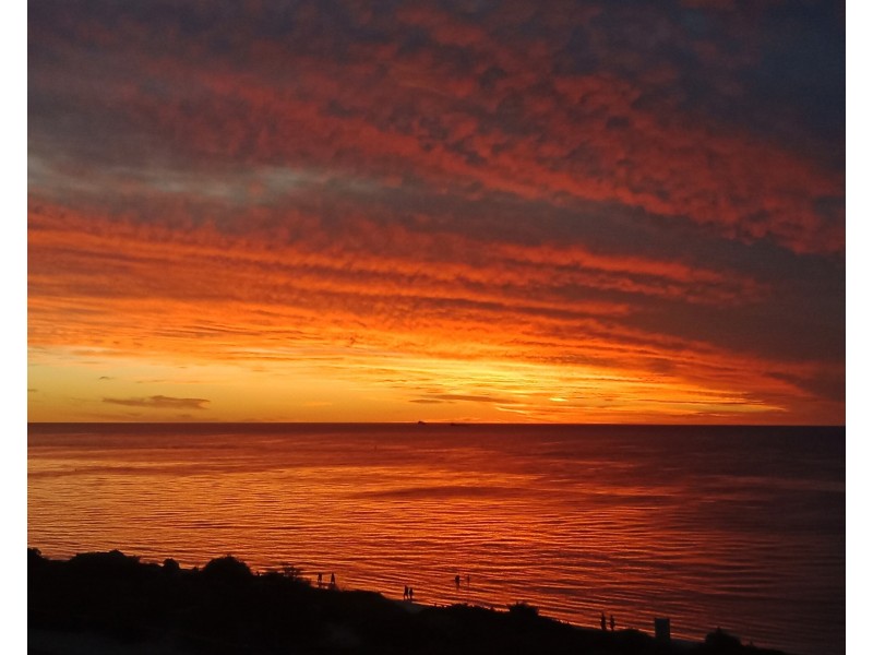 2A Beach Street, Cottesloe WA 6011