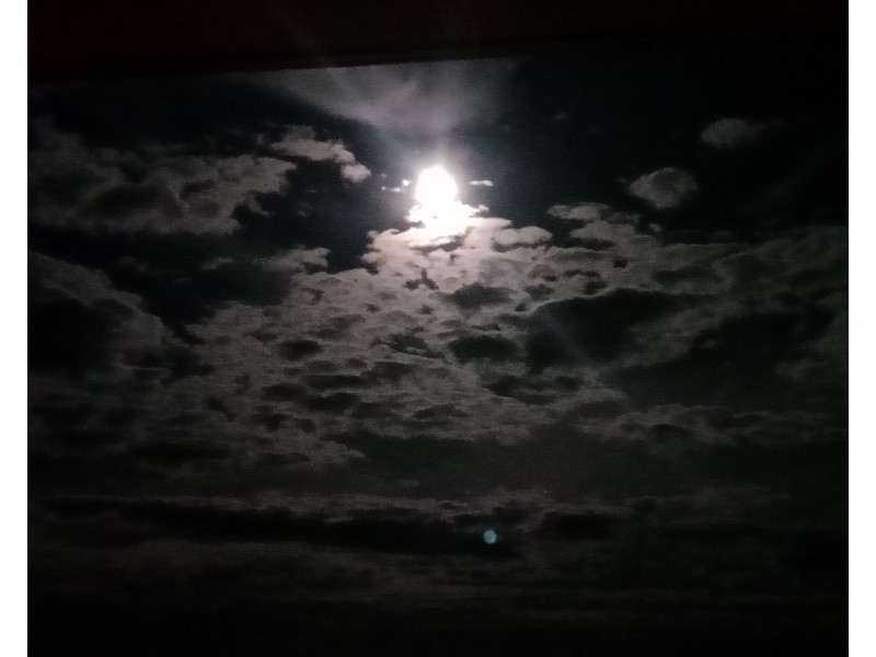 2A Beach Street, Cottesloe WA 6011