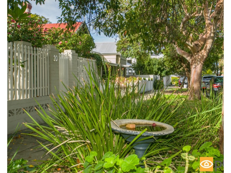 20 Campbell Street, Subiaco WA 6008