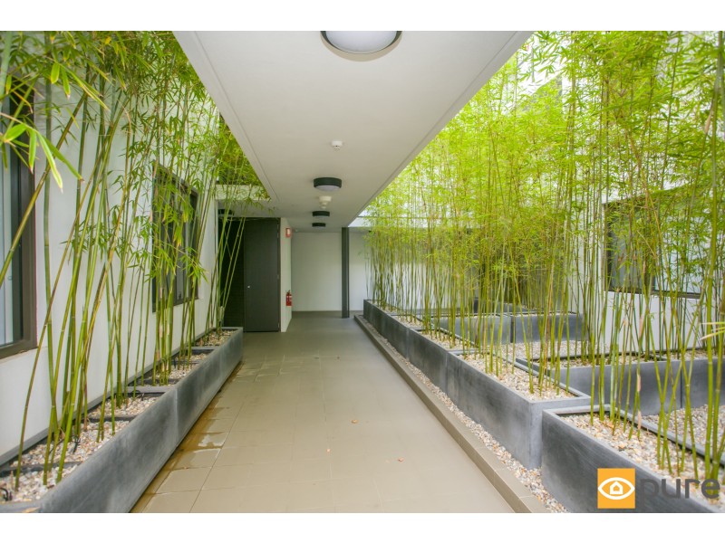 41/2 Burvill Drive, Floreat WA 6014