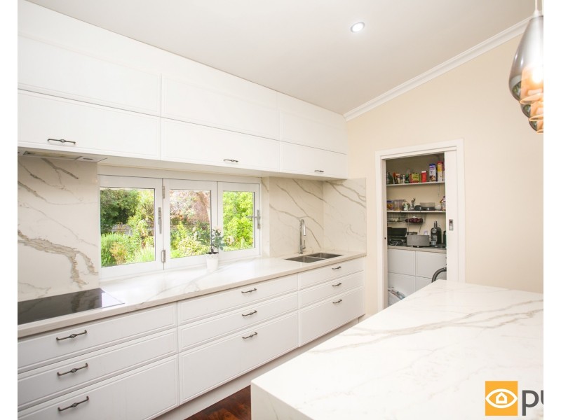 20 Langham Street, Nedlands WA 6009